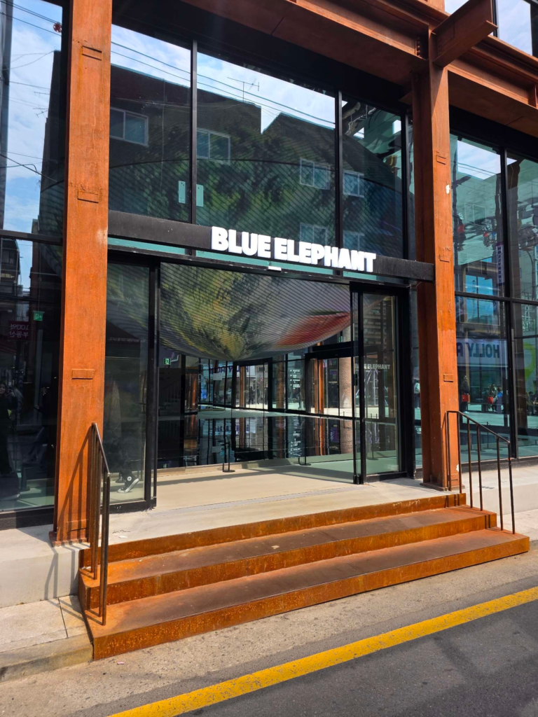 Modern Blue Elephant eyewear shop in the Seongsu district