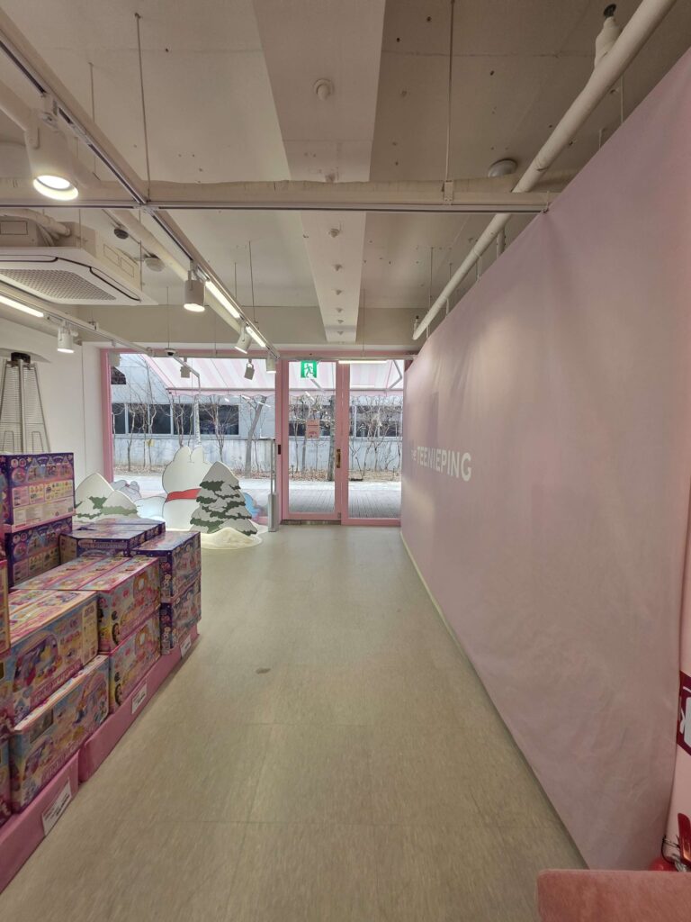 Inside Teenieping Seongsu with unfinished space
