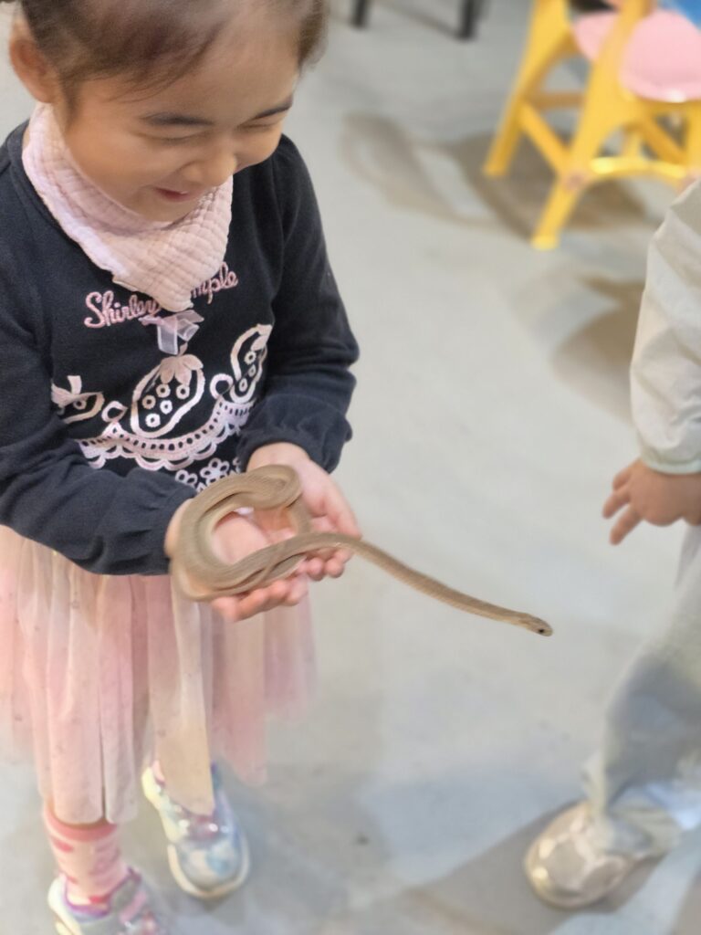 kid holding a small snake during a reptile experience